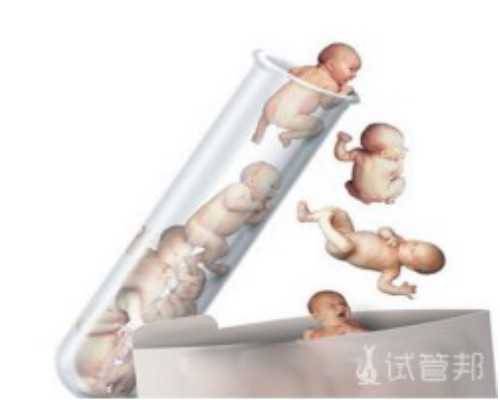 国内供卵试管的私立医院排名,试管婴儿移植手术过程中的5大问题？