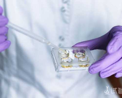 国内哪里有做供卵试管的医院,试管婴儿移植前孕酮0.4可以移植胚胎吗
