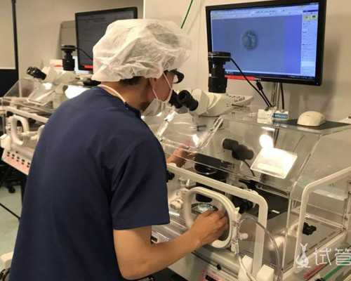 国内做供卵试管婴儿的医院,[方案推荐]上海生孩子是真的吗