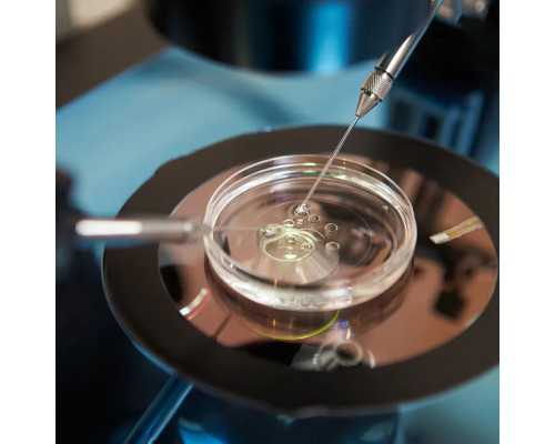 「鲜胚移植」着床成功后最早的症状~供卵代怀收费